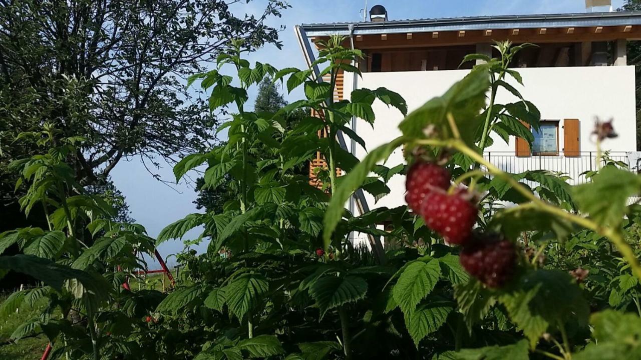 Garni Fobbie Otel Brentonico Dış mekan fotoğraf